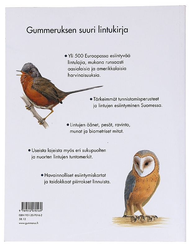 Gummeruksen suuri lintukirja - Sterry, Paul - Kirja lahjaksi - 10105537395 - 1