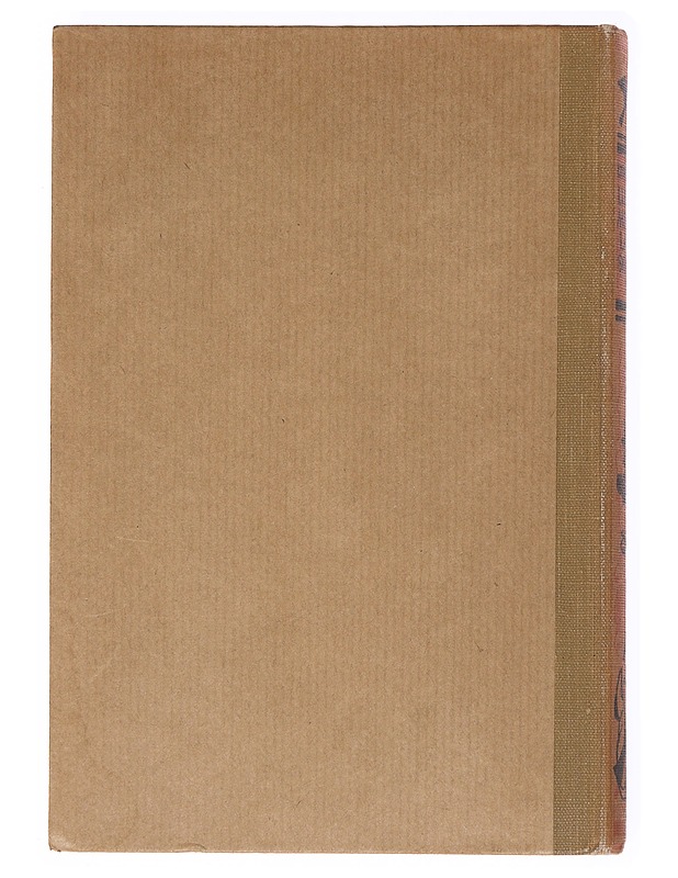 Lukemisia lapsille : Nro VI - Z. Topelius - Romaanit ja novellit - 10105537412 - 1