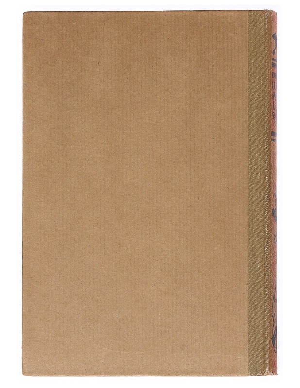 Lukemisia lapsille : Nro VIII - Z. Topelius - Romaanit ja novellit - 10105537420 - 1