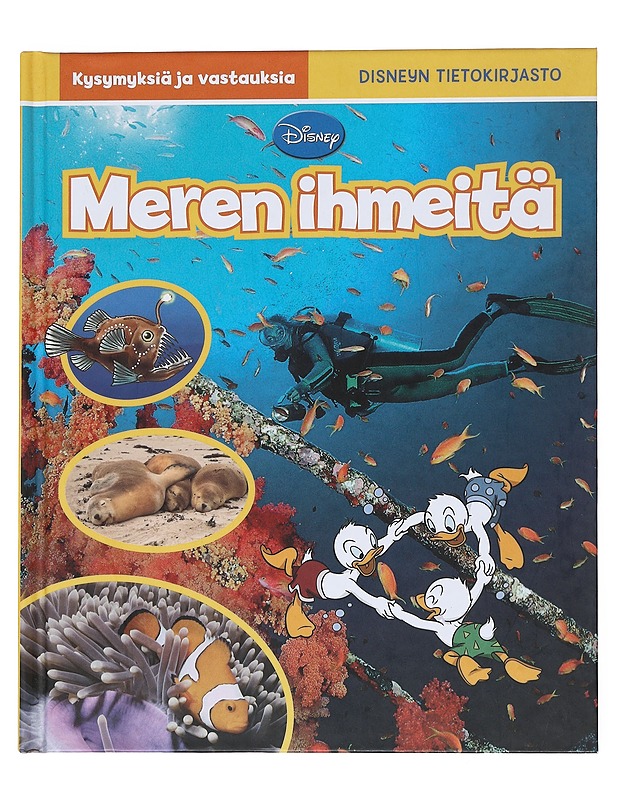 Meren ihmeitä : kysymyksiä ja vastauksia - Rask, Peter - Lastenkirjat - 10105538688 - 0