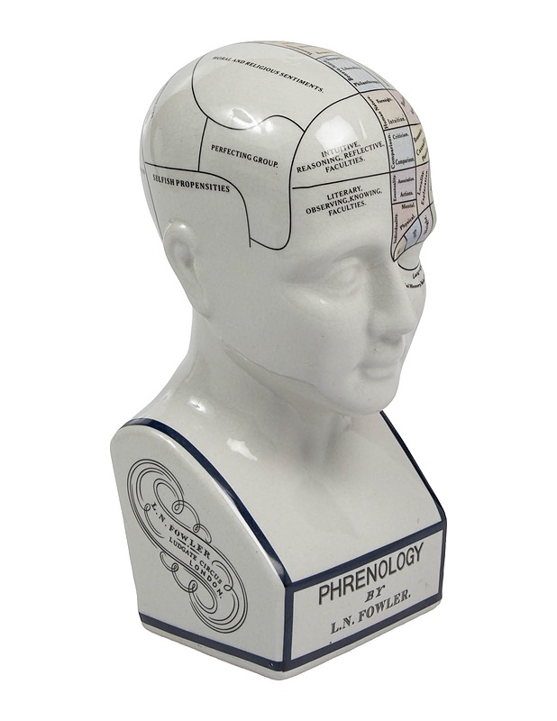 Pherenology patsas - Koriste-esineet - 10105540770 - 0
