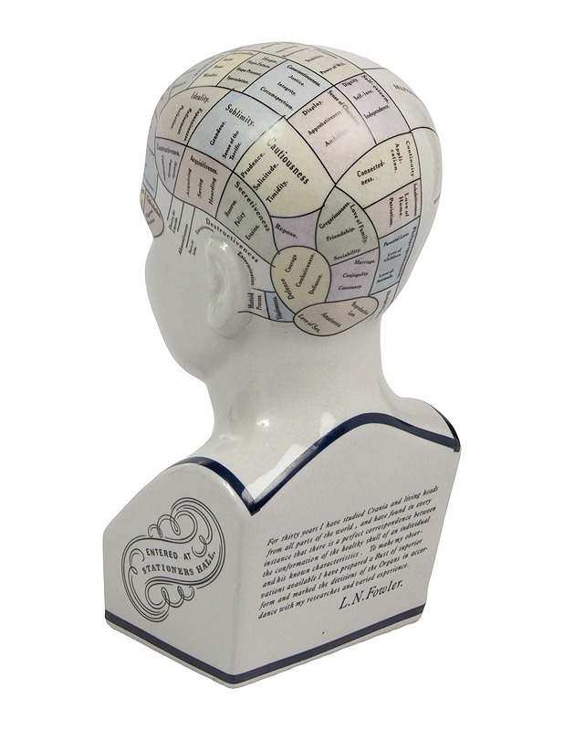 Pherenology patsas - Koriste-esineet - 10105540770 - 1
