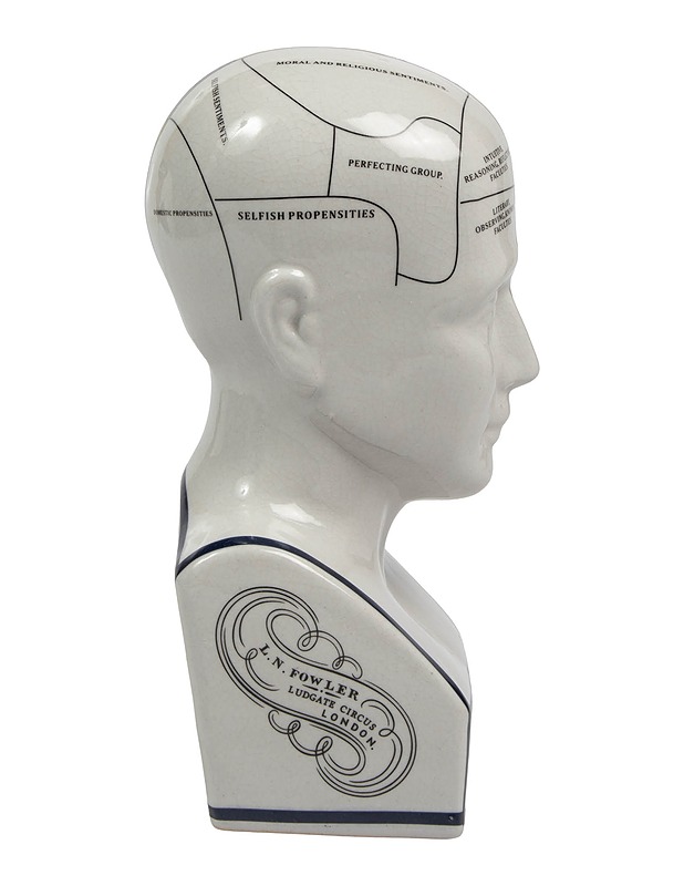 Pherenology patsas - Koriste-esineet - 10105540770 - 2