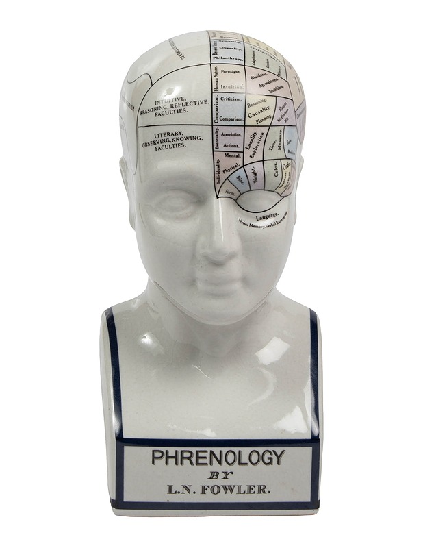 Pherenology patsas - Koriste-esineet - 10105540770 - 3
