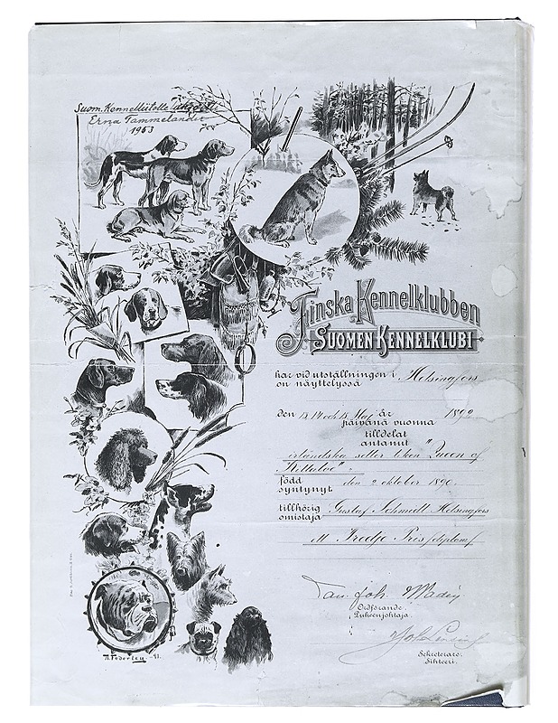 Suomen Kennelliitto - Finska Kennelklubben ry:n historia. 1. osa, 1889-1935 - Aalto, Teemu - Historiakirjat - 10105540954 - 1
