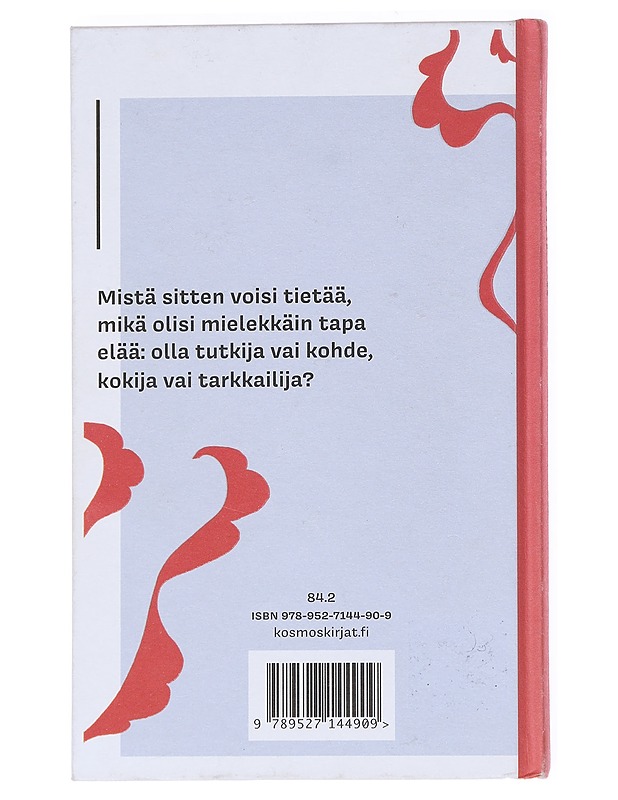 Onnenkissa - Aino Vähäpesola - Romaanit ja novellit - 10105541359 - 1