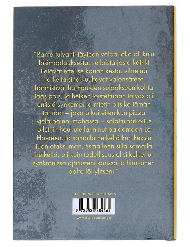Jälkimaininkeja - Maylis de Kerangal - Romaanit ja novellit - 10105541392 - 1