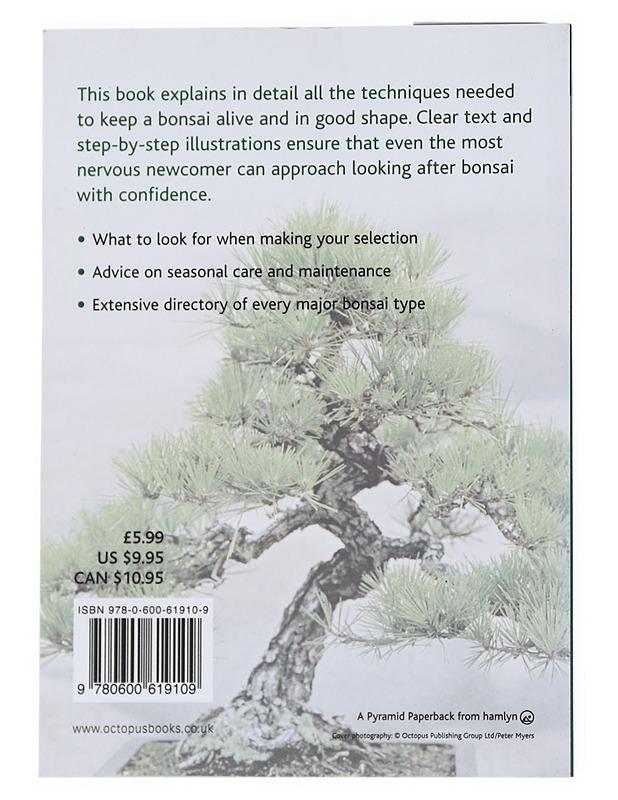 Bonsai basics - Lewis, Colin - Tietokirjat ja oppaat - 10105541408 - 1