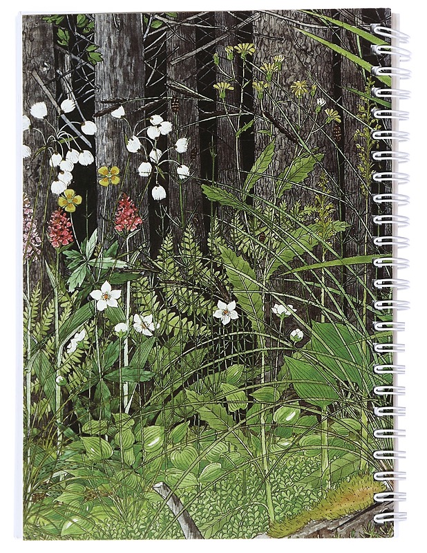 Karhunruohosta sudenmarjaan : metsäkasviopas - Haikonen, Veli - Tietokirjat ja oppaat - 10105541567 - 1