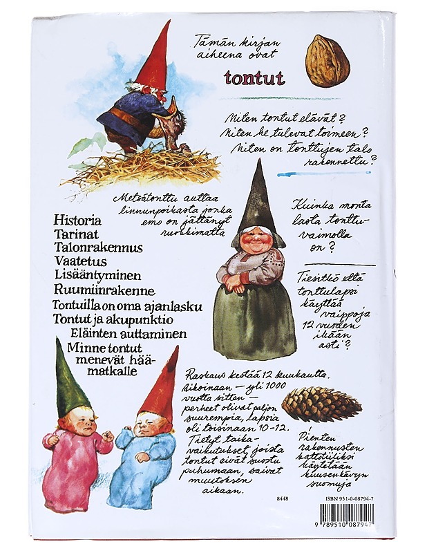 Suuri tonttukirja - Huygen, Wil - Historiakirjat - 10105541953 - 1
