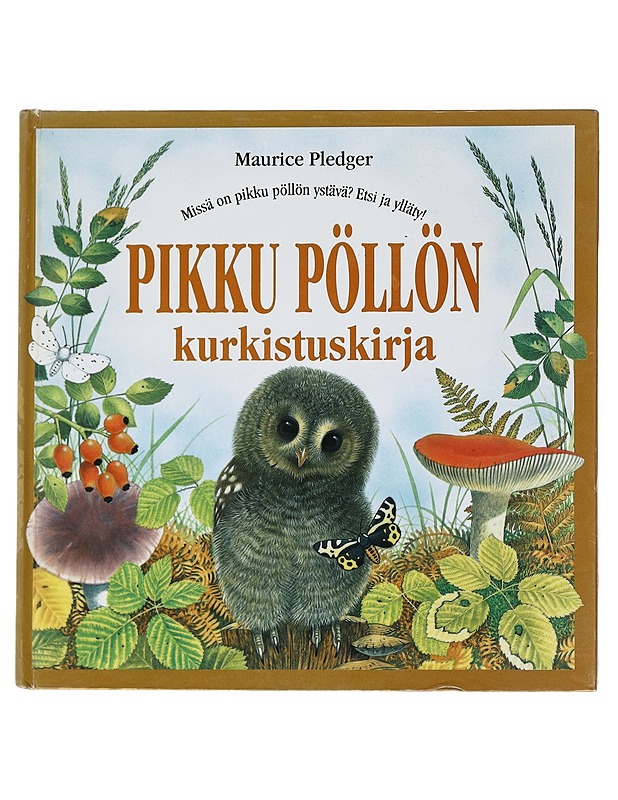 Pikku Pöllön Kurkistuskirja - Maurice Pledger - Lastenkirjat - 10105542008 - 0