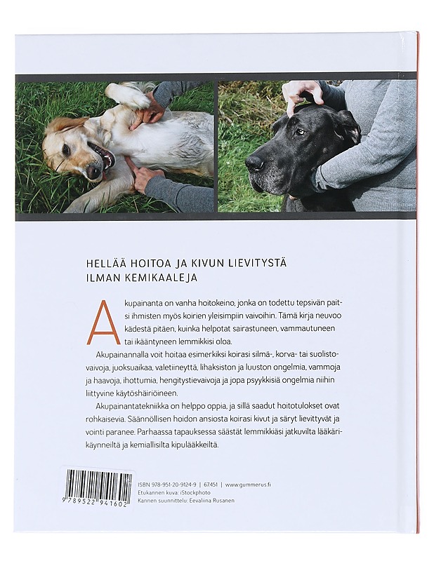 Akupainantaa koirille - Lundin, Anna - Lemmikki- ja luontokirjat - 10105542154 - 1