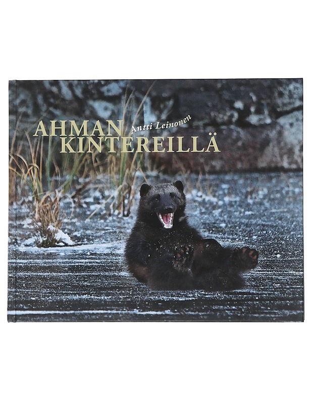 Ahman kintereillä - Leinonen, Antti - Tietokirjat - 10105542412 - 0