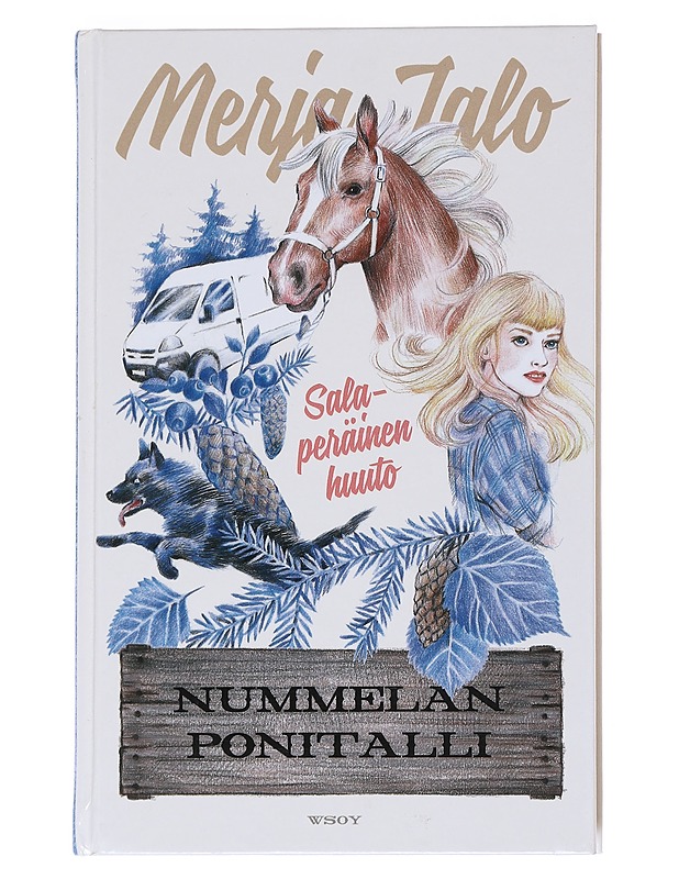 Salaperäinen huuto - Merja Jalo - Nuorten kirjat - 10105543418 - 0