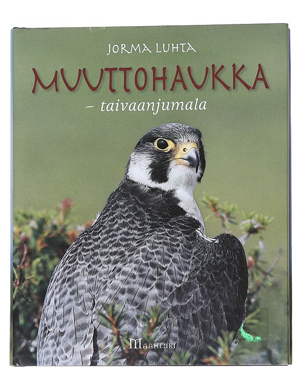 Muuttohaukka -taivaanjumala - Jorma Luhta - Lemmikki- ja luontokirjat - 10105543601 - 0
