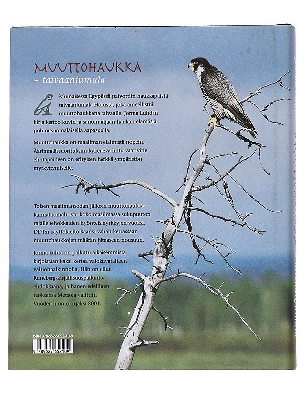 Muuttohaukka -taivaanjumala - Jorma Luhta - Lemmikki- ja luontokirjat - 10105543601 - 1