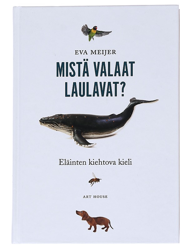 Mistä valaat laulavat? : eläinten kiehtova kieli - Meijer, Eva - Harrastekirjat - 10105544275 - 0