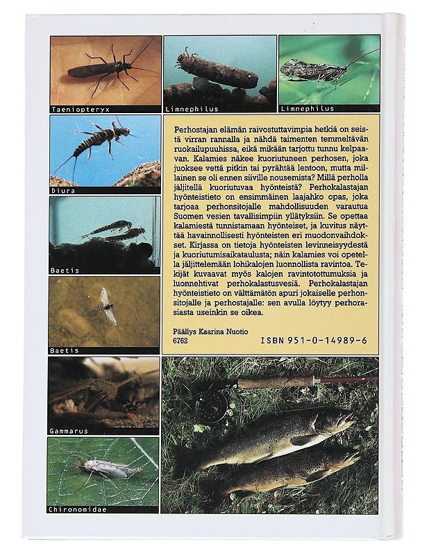 Perhokalastajan hyönteistieto - Rinne, Aki - Tietokirjat ja oppaat - 10105544993 - 1