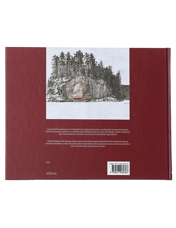 Kalliomaalausten kuvamaailma - Kivikäs , Pekka - Historiakirjat - 10105545703 - 1