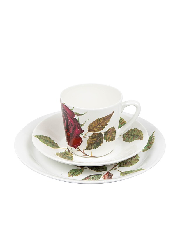 ARABIA Ruusu kuppi, tassi ja pullalautanen - Designsuosikit - 10105546466 - 0