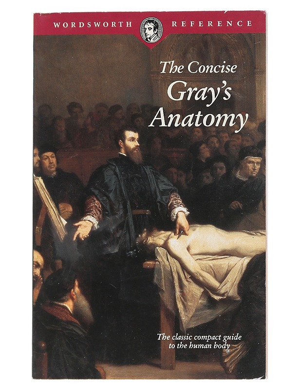 The Concise Gray's Anatomy - Professor C. H. Leonard - Romaanit ja novellit - 10105547281 - 0