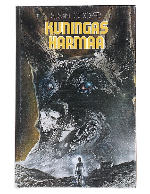 Kuningas Harmaa - Cooper, Susan - Fantasia- ja scifi - 10105547484 - 0