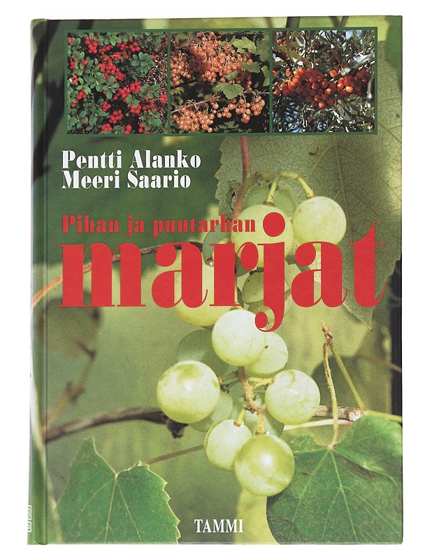 Pihan ja puutarhan marjat - Alanko, Pentti - Tietokirjat ja oppaat - 10105548295 - 0