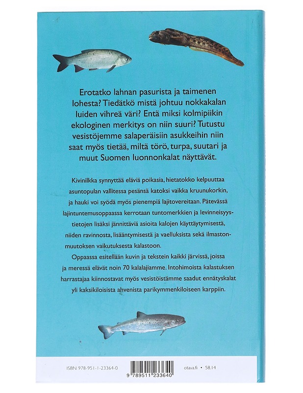Kalat Suomen luonnossa - Saura, Ari - Tietokirjat ja oppaat - 10105548439 - 1