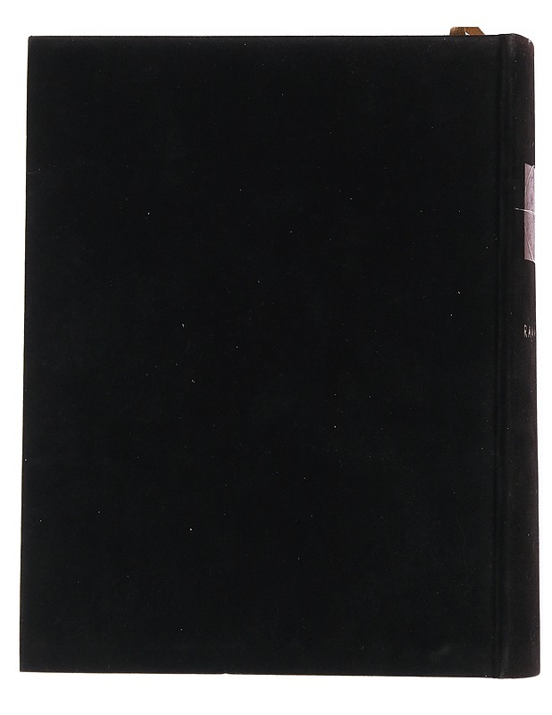 Raamattu - Harrastekirjat - 10105548870 - 1