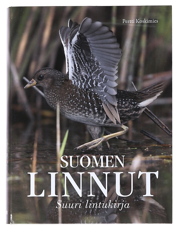 Suomen linnut : suuri lintukirja - Koskimies, Pertti - Tietokirjat ja oppaat - 10105549062 - 0