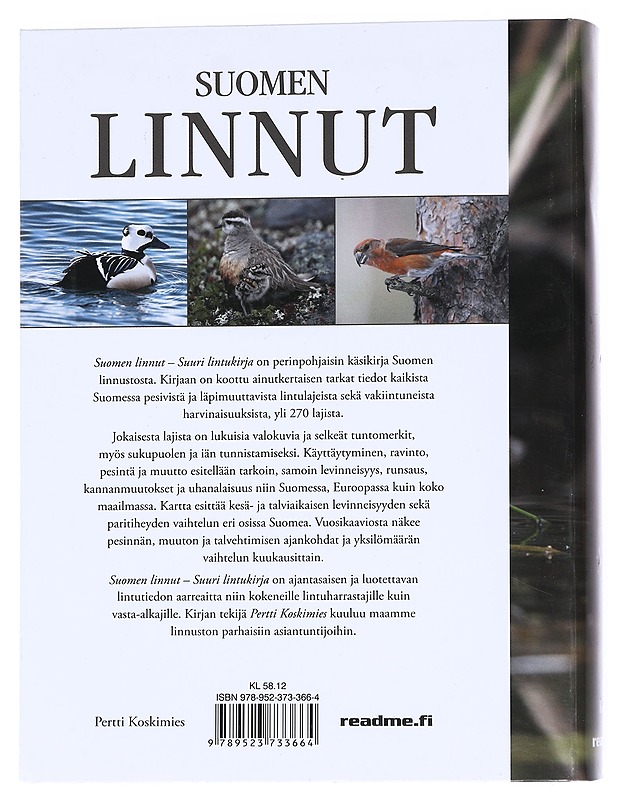Suomen linnut : suuri lintukirja - Koskimies, Pertti - Tietokirjat ja oppaat - 10105549062 - 1