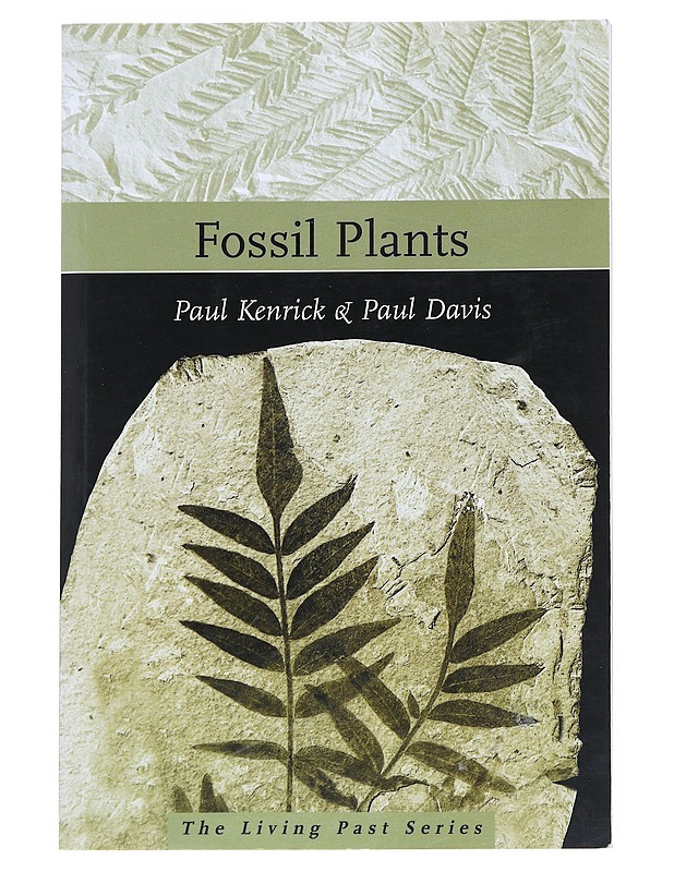 Fossil plants - Kenrick, Paul - Tietokirjat ja oppaat - 10105549432 - 0