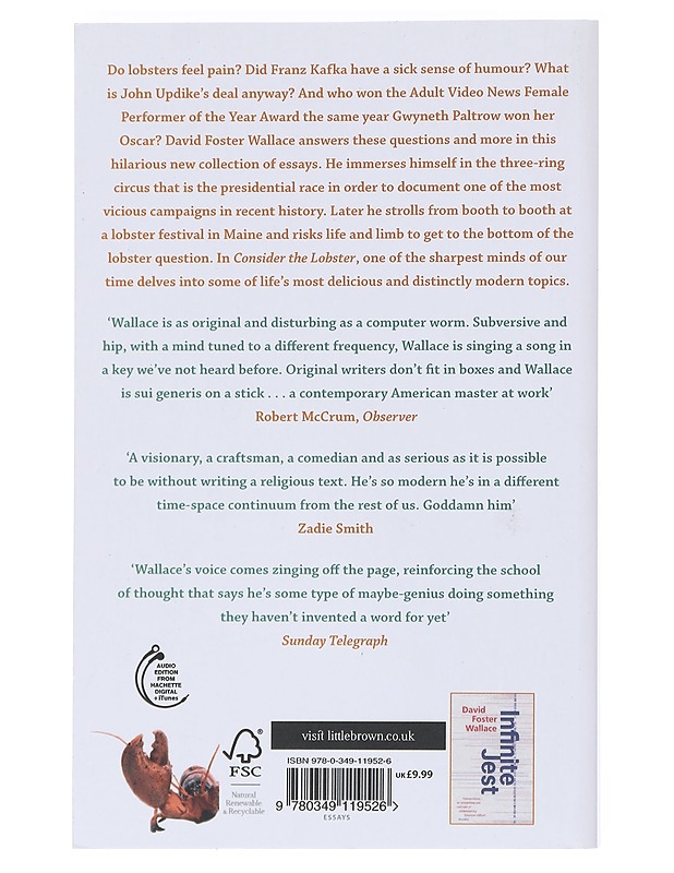 Consider the lobster and other essays - David Foster Wallace - Romaanit ja novellit - 10105549644 - 1