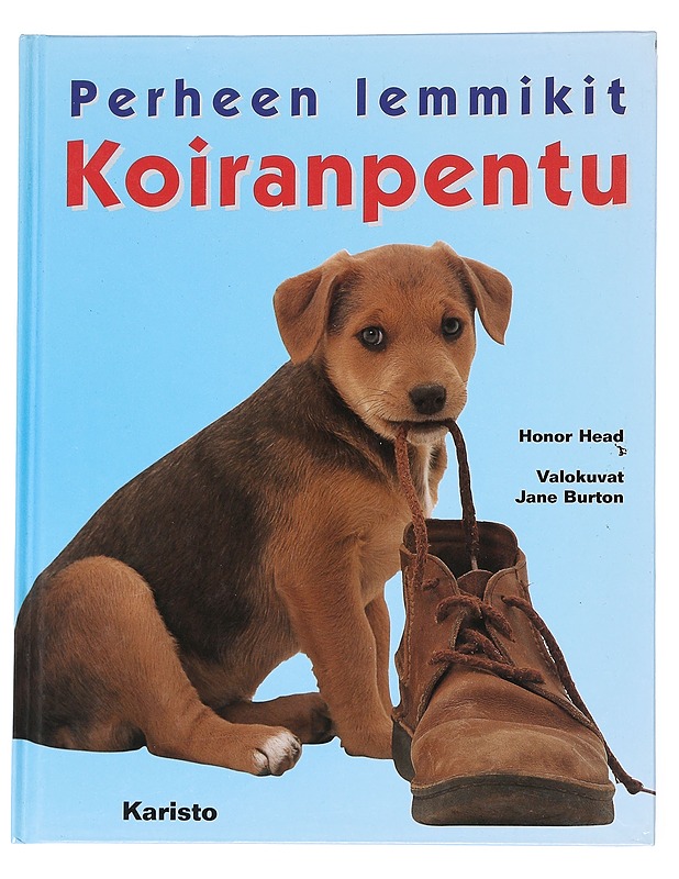 Koiranpentu - Head, Honor - Lastenkirjat - 10105550031 - 0