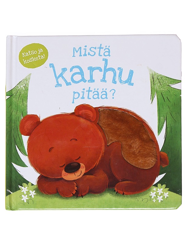 Mistä karhu pitää? - Mills, Daniel - Lastenkirjat - 10105550196 - 0