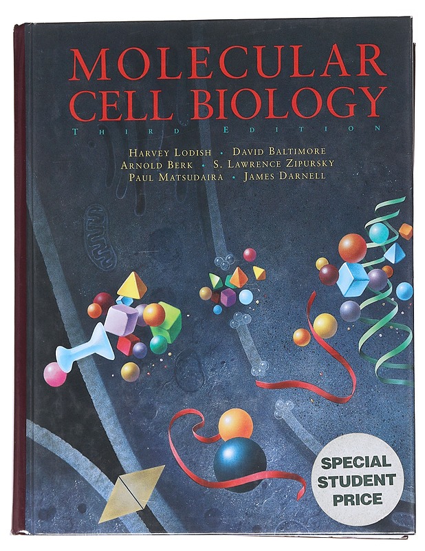 Molecular cell biology - Lodish, Harvey - Tietokirjat ja oppaat - 10105550535 - 0