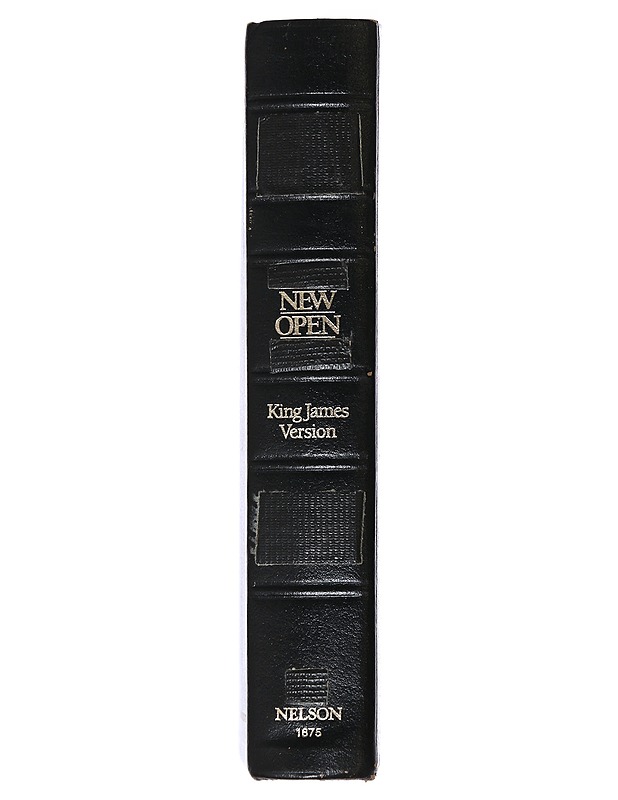 Holy Bible (raamattu) - Taide- ja kulttuurikirjat - 10105550526 - 1