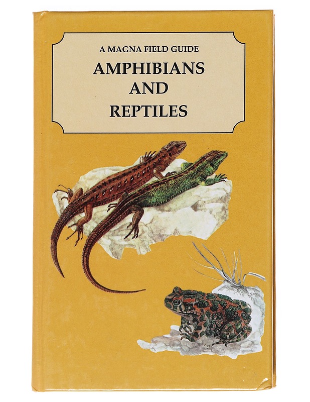 Amphibians and reptiles - ?iha?, Ji?í - Tietokirjat ja oppaat - 10105550710 - 0