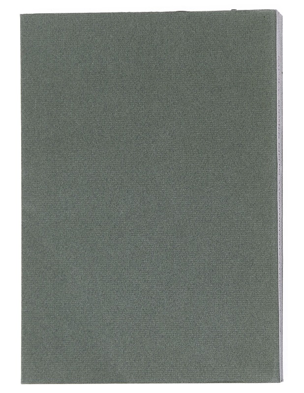 Suomen kielen äännehistorian luennot - Martti Rapola - Historiakirjat - 10105550735 - 1