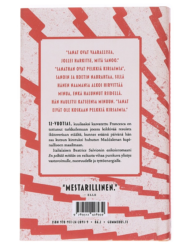 En pelkää mitään - Salvioni, Beatrice - Romaanit ja novellit - 10105550860 - 1