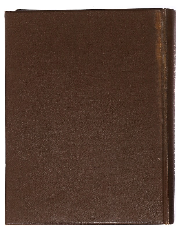 Finnland im 19ten Jahrhundert -Mechelin, Leo  ; Estlander, C. G.  ; Lindelöf, L.  ; Rein, Thiodolf  ; Topelius, Zacharias  - Historiakirjat - 10105551506 - 1