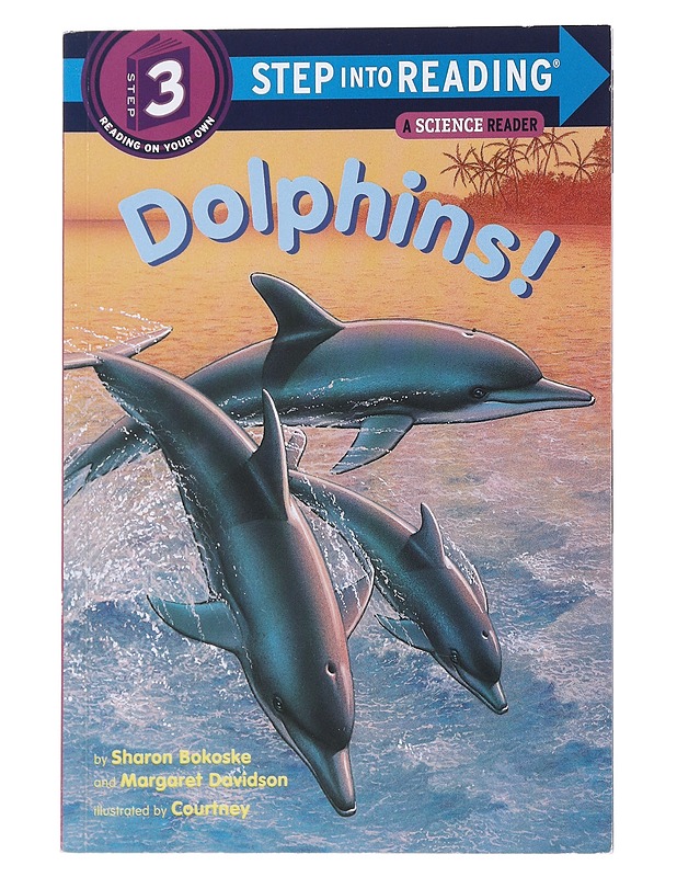 Dolphins! - Bokoske, Sharon - Lastenkirjat - 10105551842 - 0