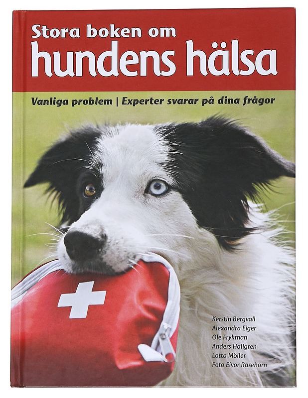 Stora boken om hundens hälsa : vanliga problem : experter svarar på dina frågor - Bergvall, Kerstin - Tietokirjat ja oppaat - 10105551956 - 0