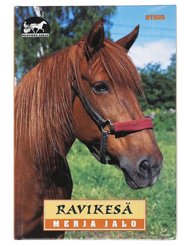 Ravikesä - Merja Jalo - Nuorten kirjat - 10105552331 - 0
