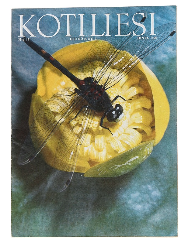 Kotiliesi n:o 13/1968 - Lehdet - 10105552592 - 0