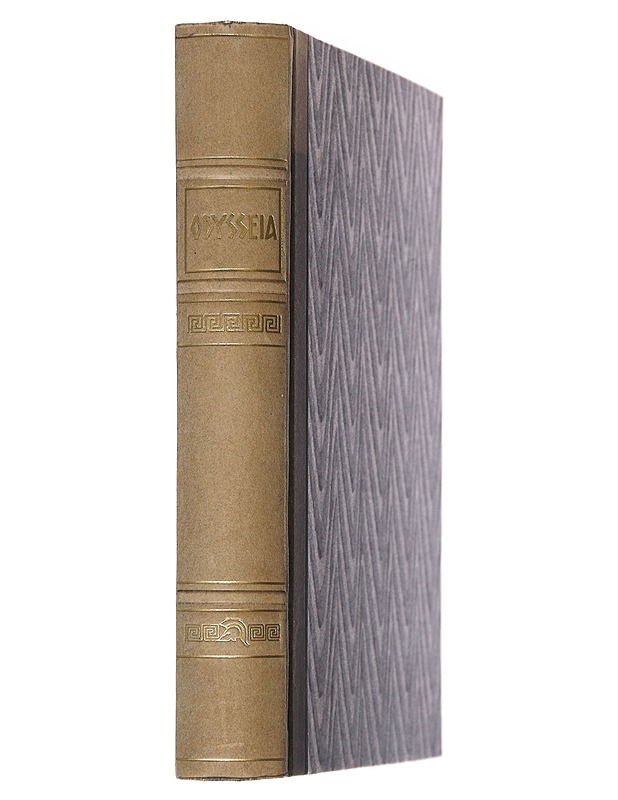 Odysseia - Homeros - Historiakirjat - 10105552676 - 1