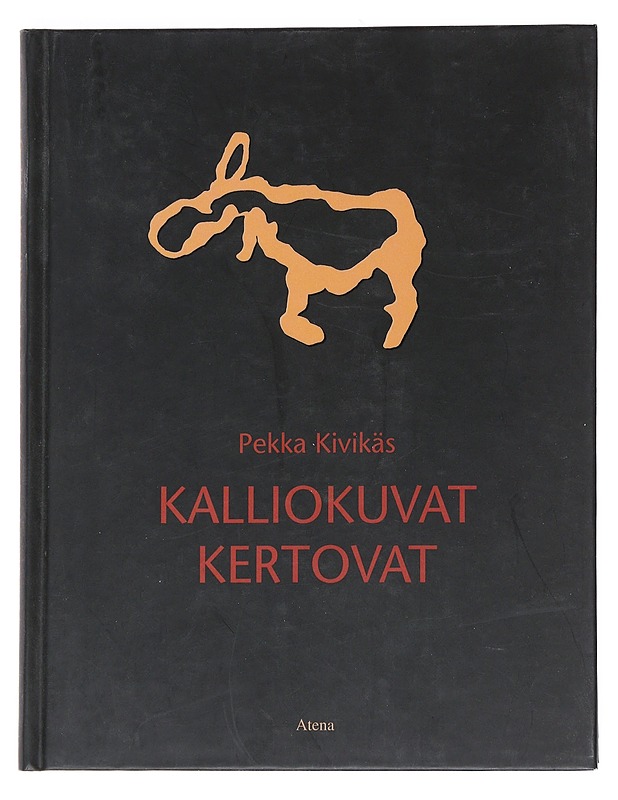 Kalliokuvat kertovat - Pekka Kivikäs - Historiakirjat - 10105553091 - 0