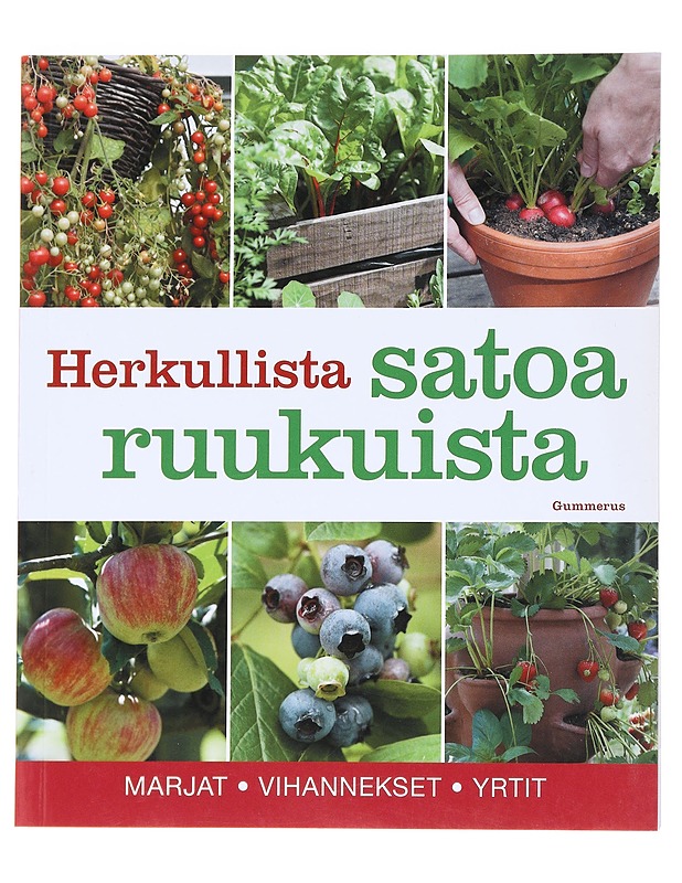 Herkullista satoa ruukuista - Tiilimäki, Aretta - Harrastekirjat - 10105553217 - 0