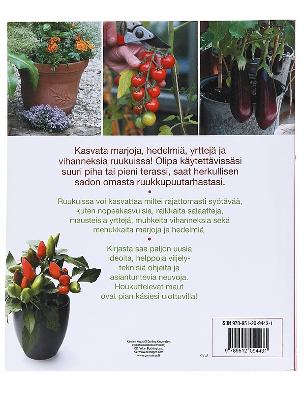 Herkullista satoa ruukuista - Tiilimäki, Aretta - Harrastekirjat - 10105553217 - 1