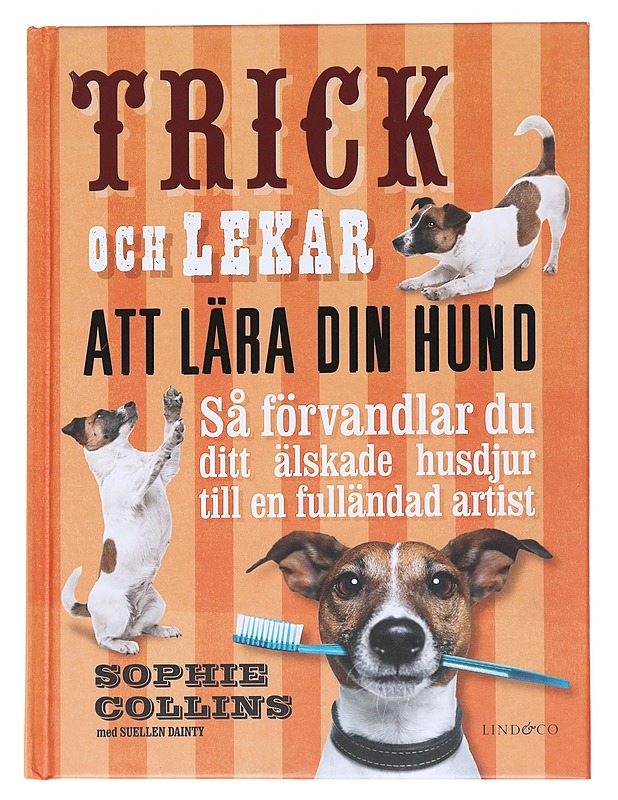 Trick och lekar att lära din hund - Collins, Sophie - Tietokirjat ja oppaat - 10105553245 - 0